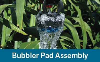 Bubbler Pad Assembly
