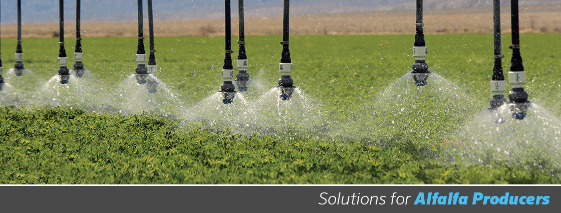 Lot 6 Senninger i-Wob Irrigation Sprinkler Head w/ 15 PSI Pressure Regulator 