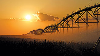 Center-pivot irrigation in a corn field at sunset