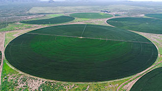Sistema de irrigação por pivô em círculos em Chihuahua, México