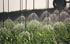 Corn Irrigation with LEPA Close Spacing in Kansas