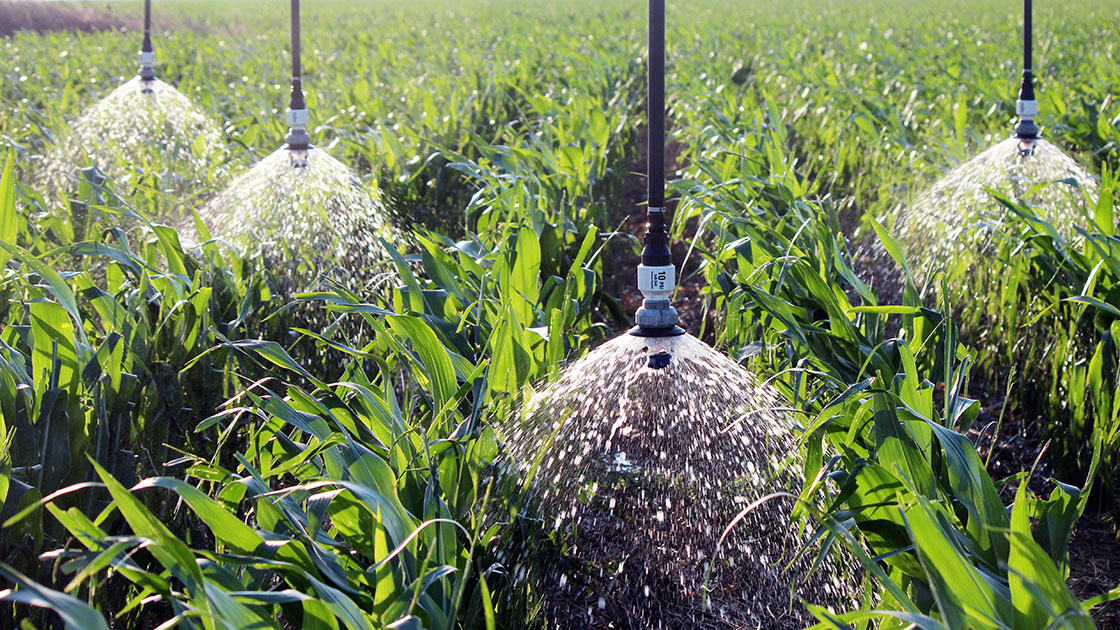 Механизированный полив кукурузного поля с помощью баблерных LEPA-дождевателей с козырьком, штат Канзас, США.