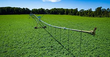 Mini pivots tend to use water more efficiently than flood or furrow irrigation methods