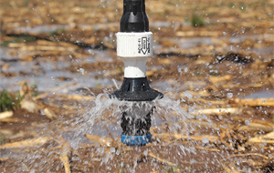LEPA Close Spacing irrigation