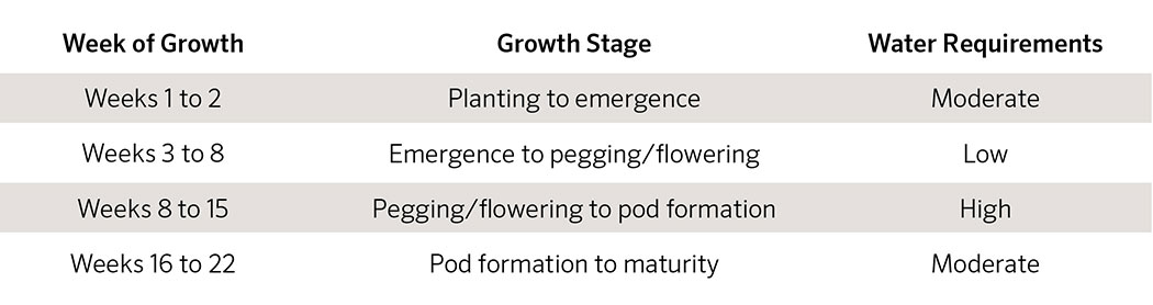 Peanuts water requirements at each of four critical stages