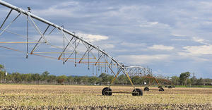 otech pivot with i-wob2 over corn in Harrisville, Australia 