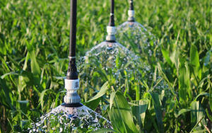 Pressure Regulators and LEPA sprinklers