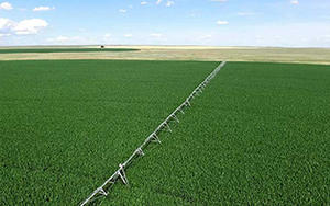 Système d'irrigation mécanisé - Machine Zimmatic avec arroseurs à pivot Senninger