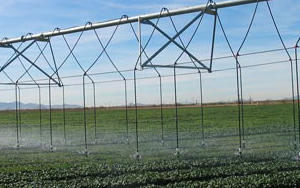 Understanding soil texture to select the right sprinkler
