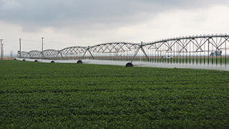 Irrigation à déplacement latéral avec des asperseurs LDN sur les pommes de terre
