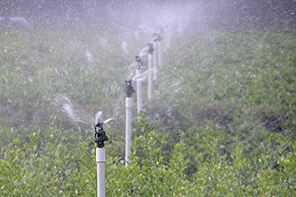 Low-pressure irrigation systems 