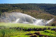 70 Series Impact Sprinklers - 7025 in Pasture
