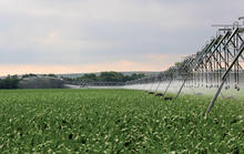 xi-wob irrigation