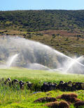 70 Series Impact Sprinklers - 7025 in Pasture