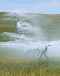 Pivot Master Impact Sprinklers