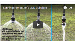 LDN® Bubbler: Comparación de Modelos