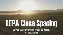 توفير استهلاك المياه، وزيادة محصول البرسيم، باستخدام تركيبات LEPA متقاربة المسافات- مقابلة مع جون ماور