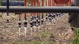 LEPA Bubblers Increase Irrigation Efficiency in Kansas- Interview with Dwane Roth