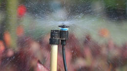 Senninger&#039;s Micro-Sprinklers: Better Options for Low-Volume Irrigation
