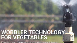 Tecnologia Wobbler® para legumes e verduras