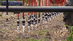 LEPA Bubblers Increase Irrigation Efficiency in Kansas - Interview with Dwane Roth