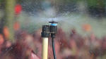 Senninger's Micro-Sprinklers: Better Options for Low-Volume Irrigation