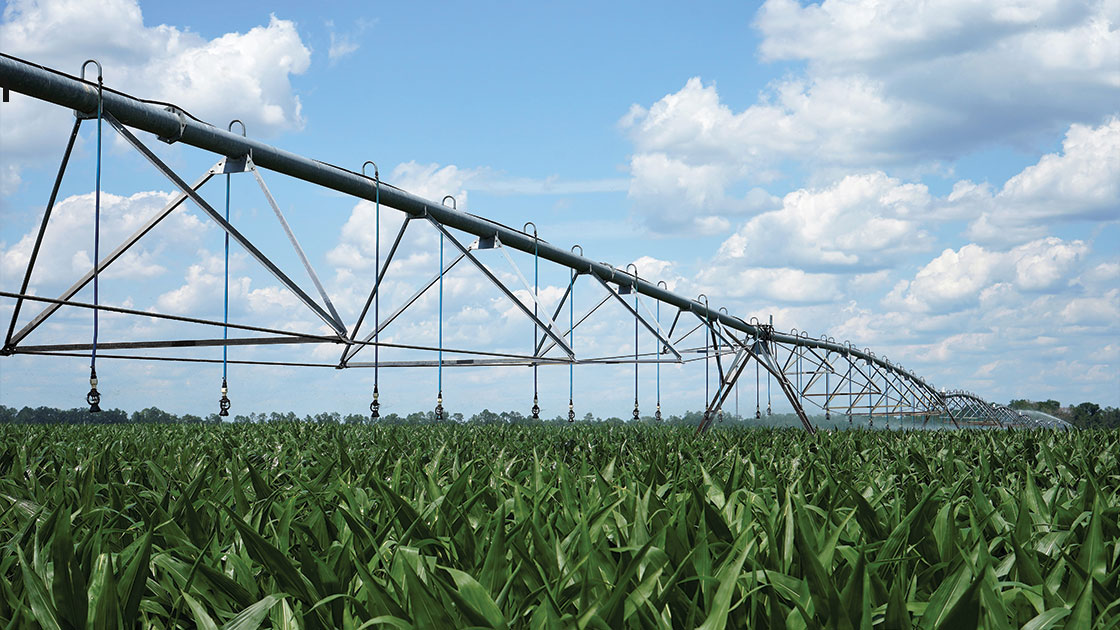 Valley pivot with i-Wob2 sprinklers over corn